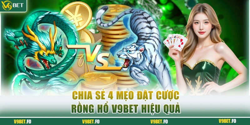 bo tui 4 tips choi dragon tiger de thang tu bac thay Bỏ túi 4 tips chơi Dragon Tiger dễ thắng từ bậc thầy