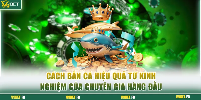 cach ban ca hieu qua tu kinh nghiem cua chuyen gia hang dau Cách bắn hiệu quả từ kinh nghiệm của chuyên gia hàng đầu